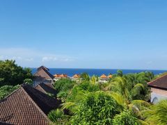 -飞鱼&摩娜潜水度假村