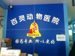 -百灵动物医院