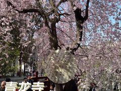 -西安青龙寺遗址景区