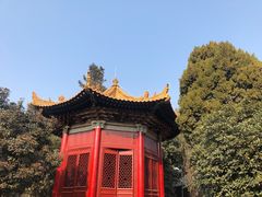 -西安碑林博物馆