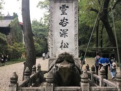 -灵谷景区