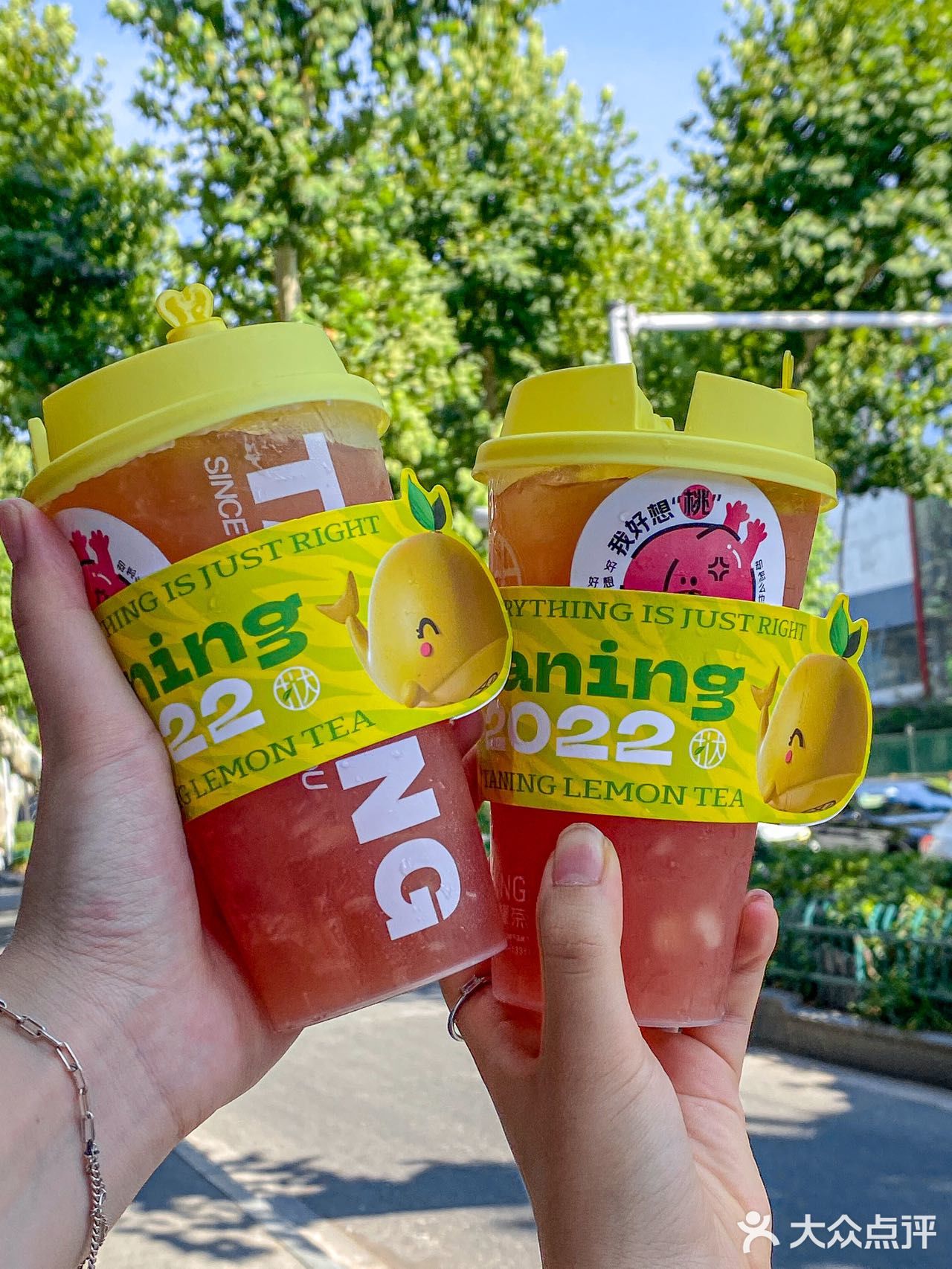 南京📍首家袋装柠檬茶🍋夏日续命水