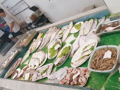 -魚當家