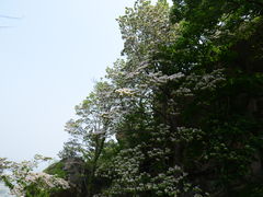 -连云港云龙涧原生态风景区