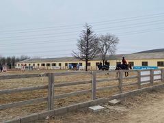 -北京群众马术培训基地