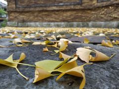 -无锡惠山寺