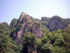 -王顺山国家森林公园