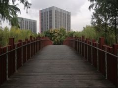 -南翔镇银翔湖公园
