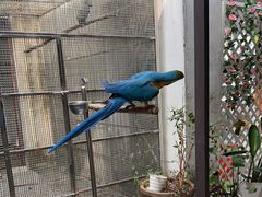 -观桥阁(锦溪店)