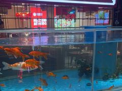 -辣得叫湘菜(四明店)