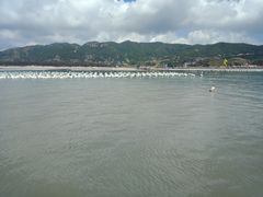 -大京沙滩
