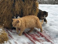 -韵之源农家菜(北京1店)