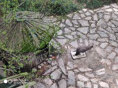 -苏州环秀晓筑养生度假村