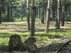 -秦皇岛野生动物园