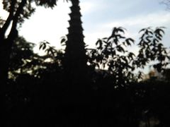 -文瀛公园