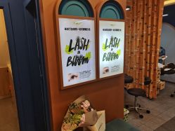 -Browhaus眉睫沙龙