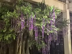 -太白山御龙湾温泉
