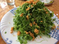 海胆芹菜苗-老苏扬饭店