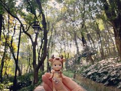 -杭州半山国家森林公园