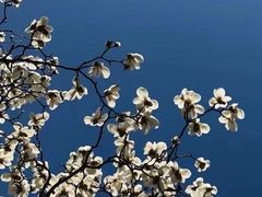 -再回头私房菜·老南京菜