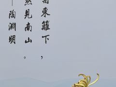 -南山植物园