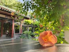 -趵突泉景区