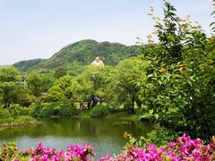-王毛龙千层饼(蒋氏故居店)