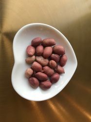 -同仁堂知嘛健康·塑龄中心
