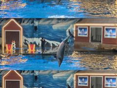 -西安曲江海洋极地公园