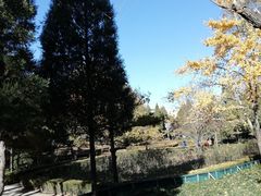 -黄村公园