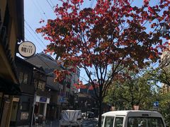 -有栖山 清光院 清水寺