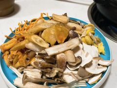 -菌之家·专业纯野生菌火锅·特色炒菌