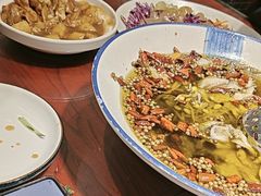 -邵年鸽(杨庄店)