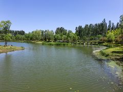-东郊湿地公园
