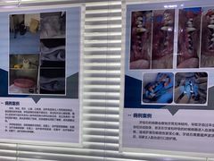 -佳雯宠物医院(金华南路分院)