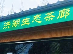 -洪湖家庭农场·团建·露营·会议