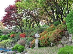 -新罗免税店(首尔总店)