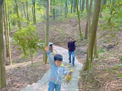 -四明山国家森林公园