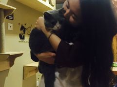 -CC猫狗洗浴·猫咪寄养酒店