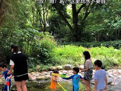 -成都市活水公园