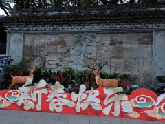 -上海醉白池公园