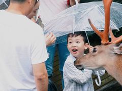 -寒舍户外烧烤团建聚会别墅轰趴馆(安农大店)