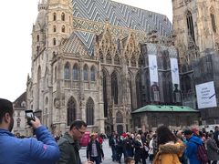 -斯蒂芬主教座堂(Stephansdom)