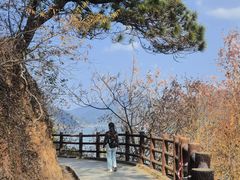 -羚羊峡古栈道森林公园