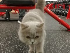 -Vamos巴猫司健身中心(五角场店)