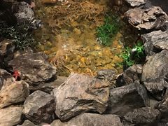 -綱元·海鲜豆捞(明州里店)