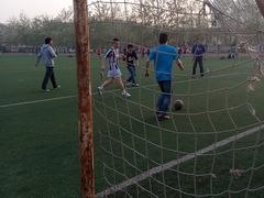 -陕西省游泳跳水馆