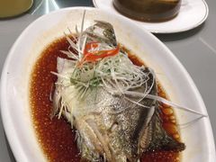 -红城阁·上海味道(四平路店)