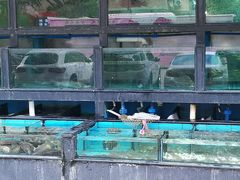 水产区-茂港柏香(侨港路店)