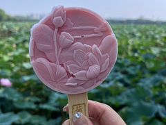 -荷塘月色湿地公园·向阳花洲